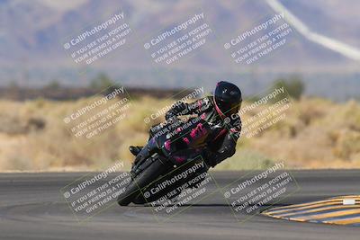 media/Nov-11-2023-SoCal Trackdays (Sat) [[efd63766ff]]/Turn 16 (11am)/